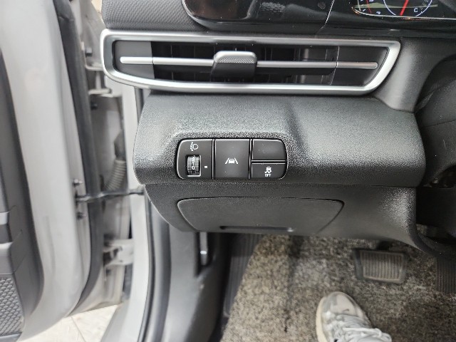 lotterental_221838917_JG1N9_1.jpg