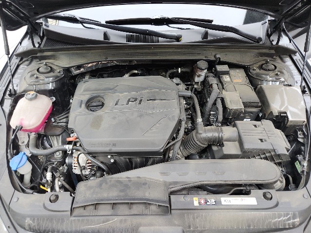 lotterental_233120627_7JzYr_9.jpg