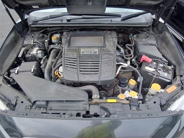 08.jpg