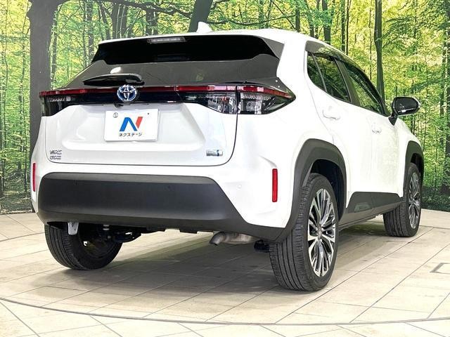 27094726_carP_l_16.jpg