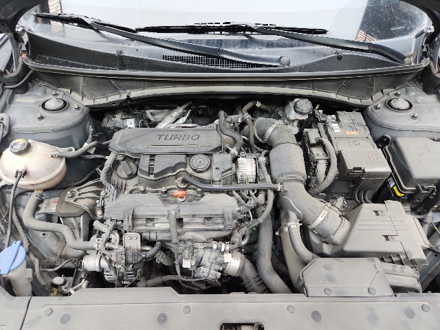 lotterental_234509543_GLJ2U_8.jpg