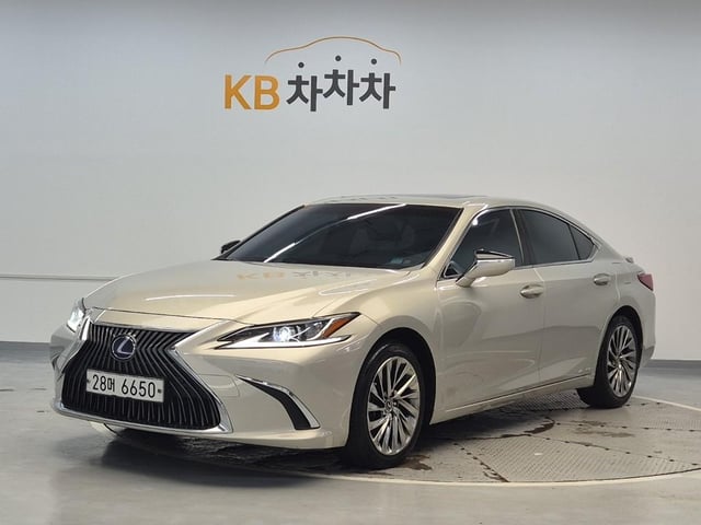 6091500576R1.jpg
