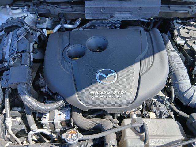 08.jpg