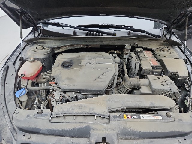 lotterental_00545684_VNeWF_10.jpg