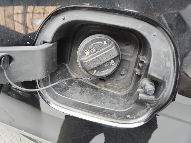 lotterental_162845551_nukMC_7.jpg