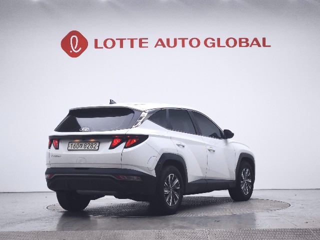 lotterental_151810569_L600d_4.jpg