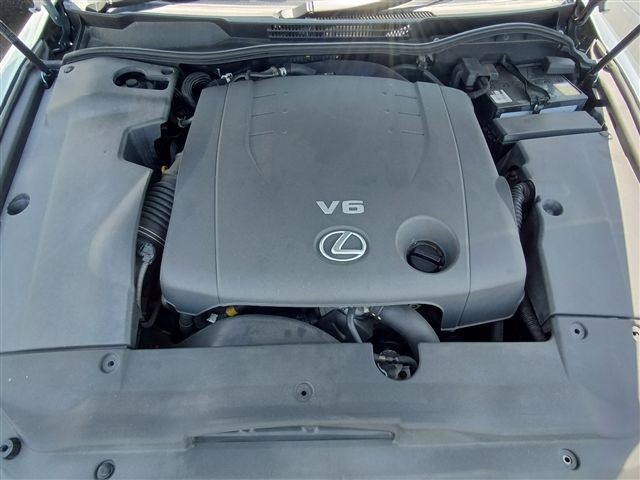 08.jpg