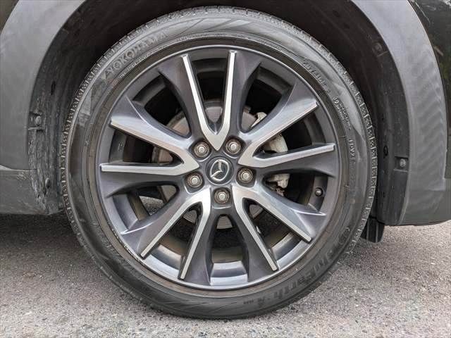 705214fca977e333d9ea57d33273969a.jpg