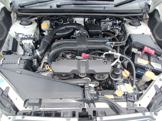 08.jpg