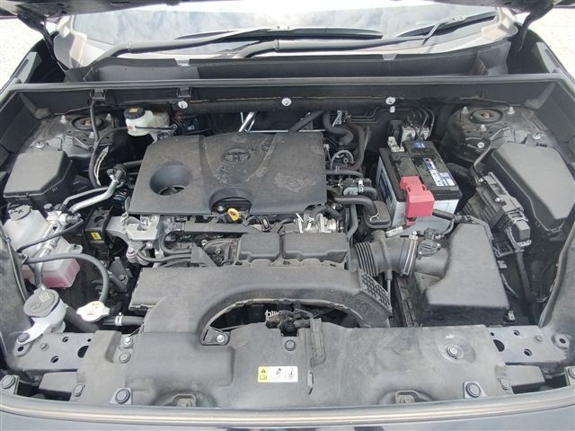 08.jpg