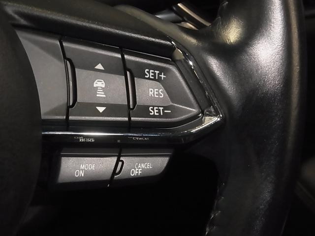 0500075A20260711K01618.jpg