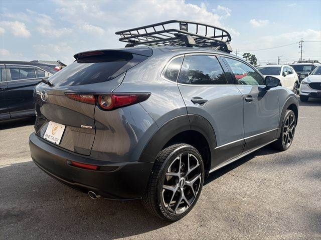 f8caced524cd3087fd0e42fd44022c1d.jpg
