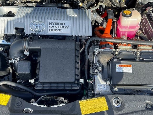498f11e7cf155e69a834c187ee551065.jpg