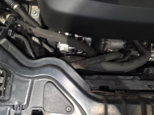 b30d5293e5bd37feb655d2e567ef6553.jpeg
