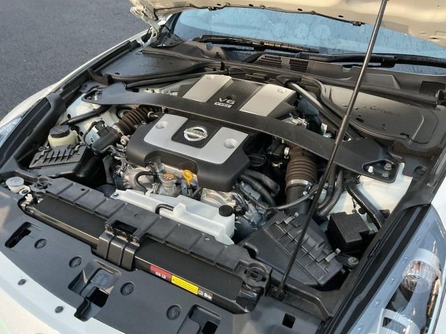 d43aa8ecfafd314d3d4835473103b97d.jpg