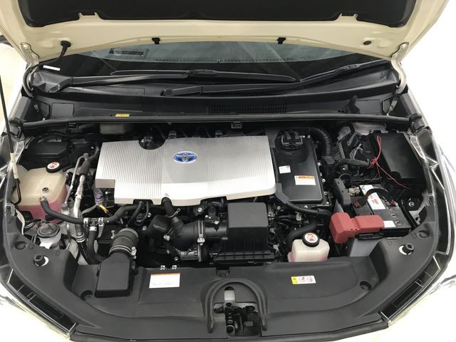 440cdd92d227e1d42b789ab2d41a9575.jpg