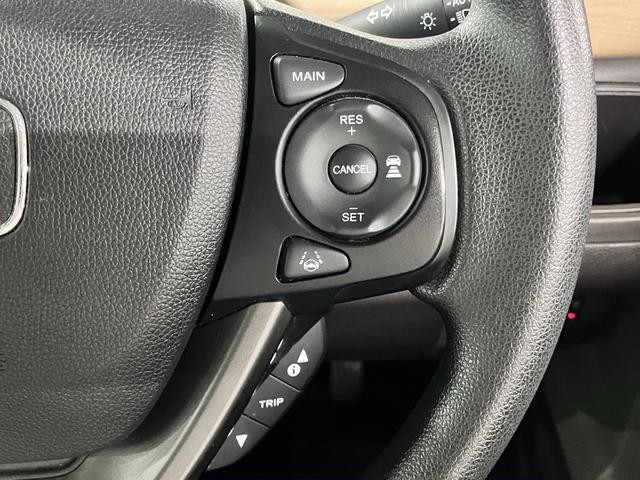 0500075A20260714K01219.jpg