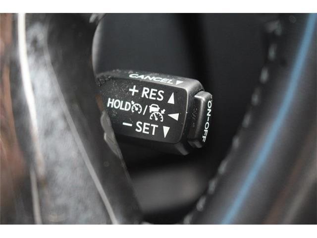 cee519c294e94bfaec7b782e202dfa10.jpg
