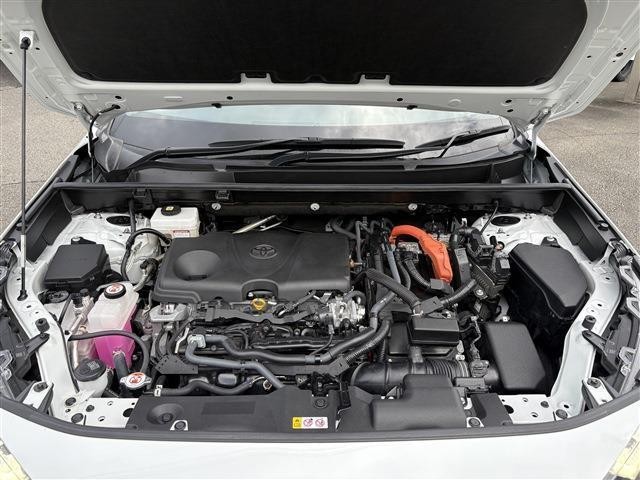 d3ff9a30abffa0e61aeeb6c9d4799b29.jpg