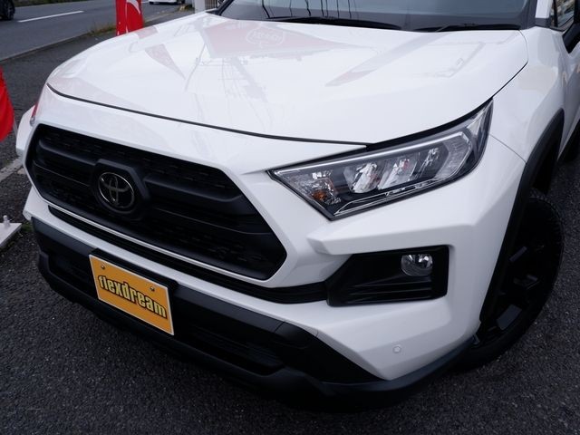 d50ac1392823cb68d1558673dfe88114.jpg