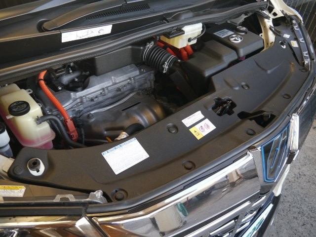 97cc2528ecf5525484dbff5515e64d71.jpg