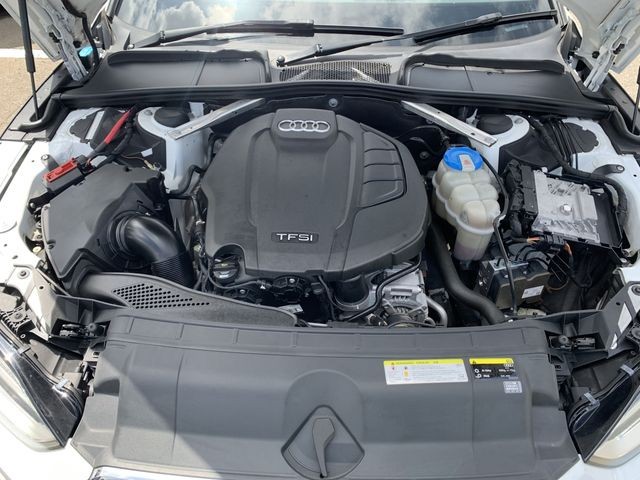 3840d029dae7038dd21fb21852e1bc38.jpg