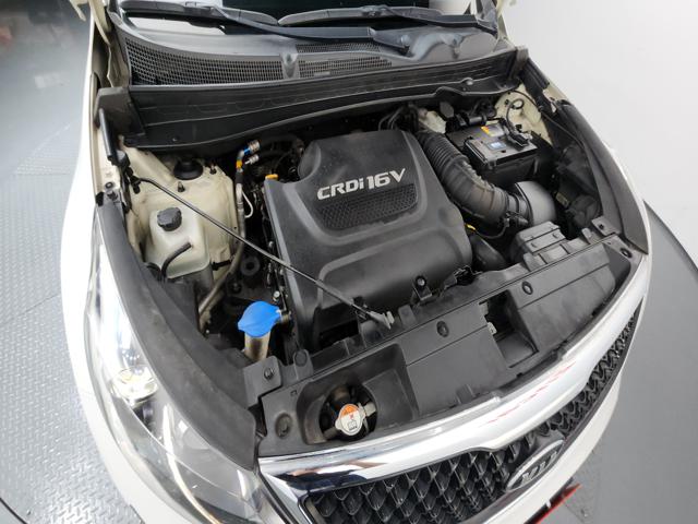 50485f13512005474405dc691cae3b10.jpeg