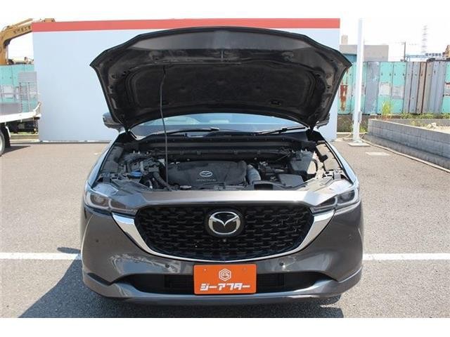 4d65202f589bd76f5080efacd611c463.jpg