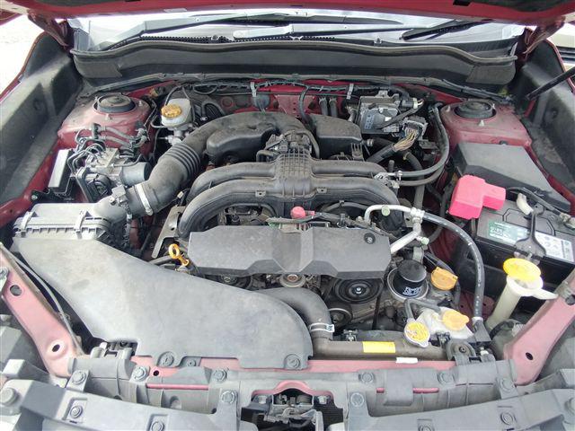 08.jpg
