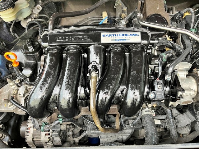 f1689daf26e97d37ba0c4c107e17a0b2.jpeg
