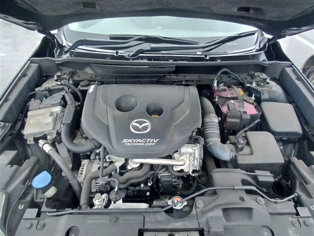 08.jpg