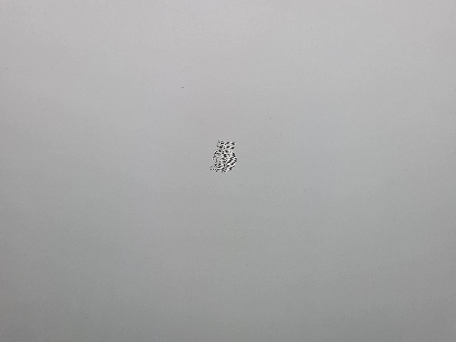 b405925519de32b062aad9d71d969e51.jpeg