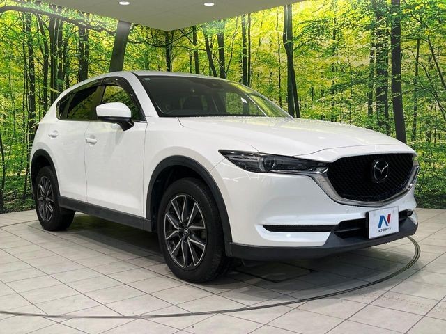 d27a7ab15db465c77b66e991e481e9cf.jpg