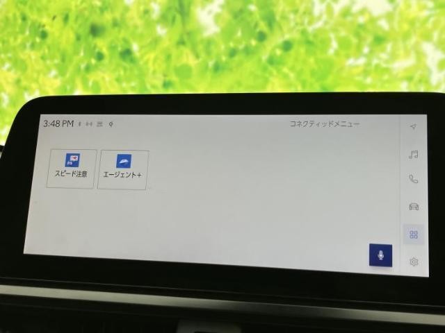 26161761_carP_l_8.jpg