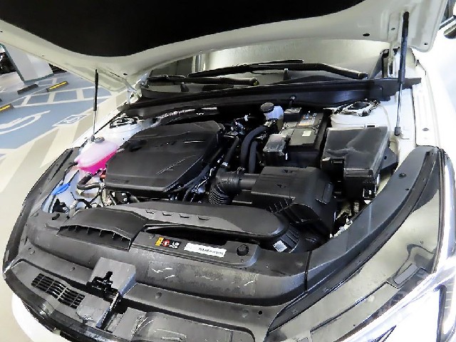 ae93cf817918e0ff9b6a1dd383256417.jpeg