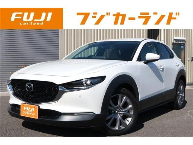 8193e87ce64ccd2c99ac24e87b26023b.jpg