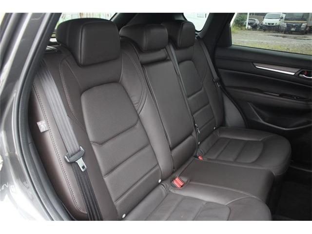 195527c8af3985e5488ae8cdb8d59ede.jpg