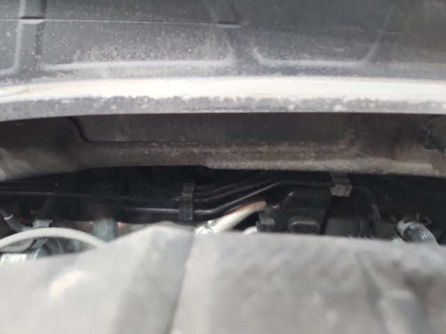 lotterental_093141140_UxEyo_10.jpg