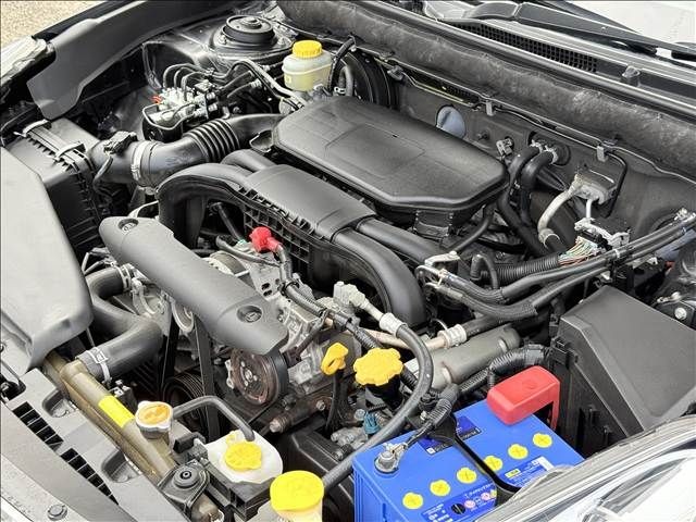 488d13be4ccecb8289e7ac2dd68573ec.jpg
