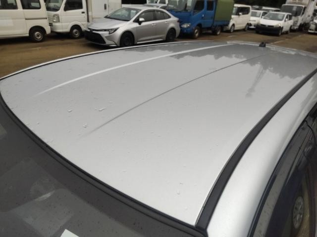 27219497_carP_l_14.jpg