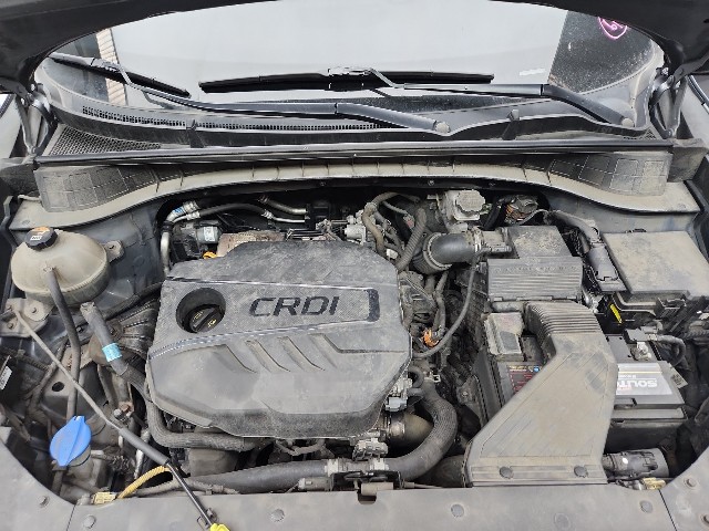 lotterental_161839517_NqMmp_10.jpg