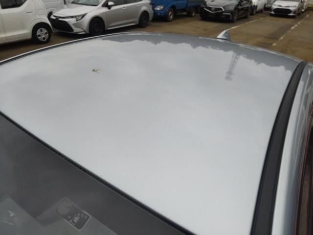 27219500_carP_l_14.jpg