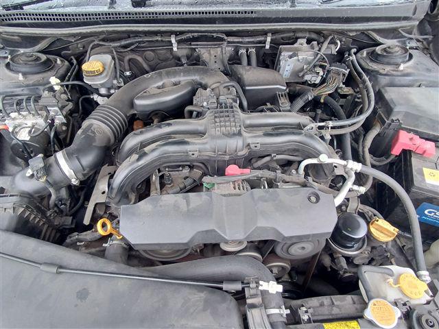 08.jpg