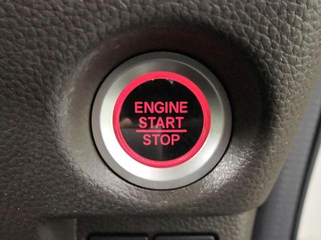 0207791A30261017W00511.jpg