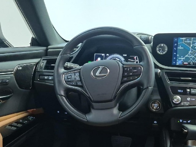 6091501484R9.jpg
