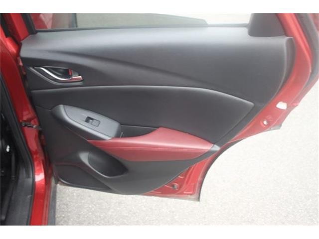 daf5638f26175e720e68ab061a4d4619.jpg