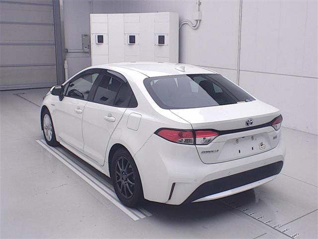 b153e9bf9e6079b40e21866fe7e157c6.jpg