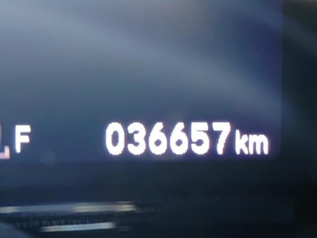 27219516_carP_l_2.jpg