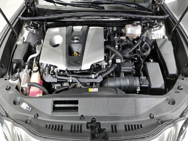 e49a209cdfc10e9cddeaa31ac0edb59a.jpeg