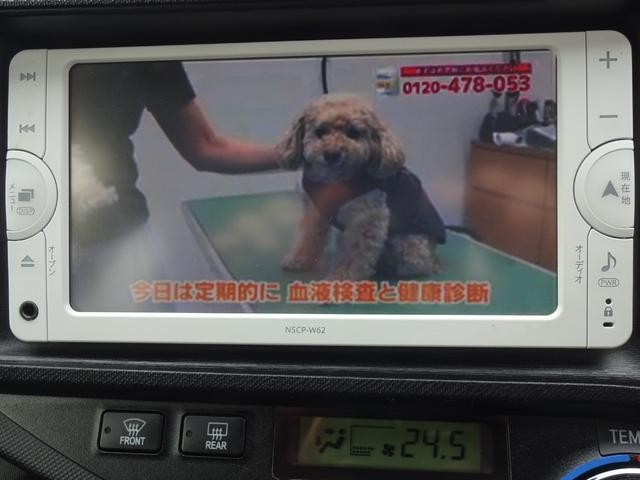24da0e714489e25941b189e965b2f623.jpg